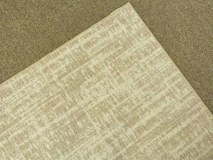 Contemporary Beige & White Area Rug