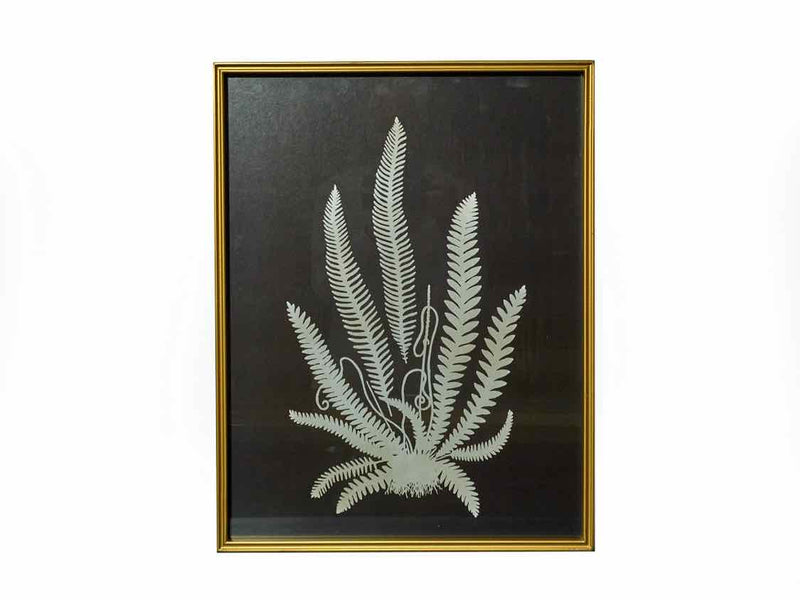 Black & White Fern Print Under Glass