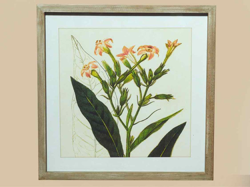 White Washed Framed Flower Print Under Glass