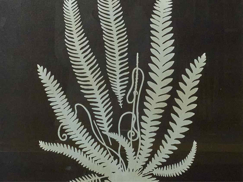 Black & White Fern Print Under Glass