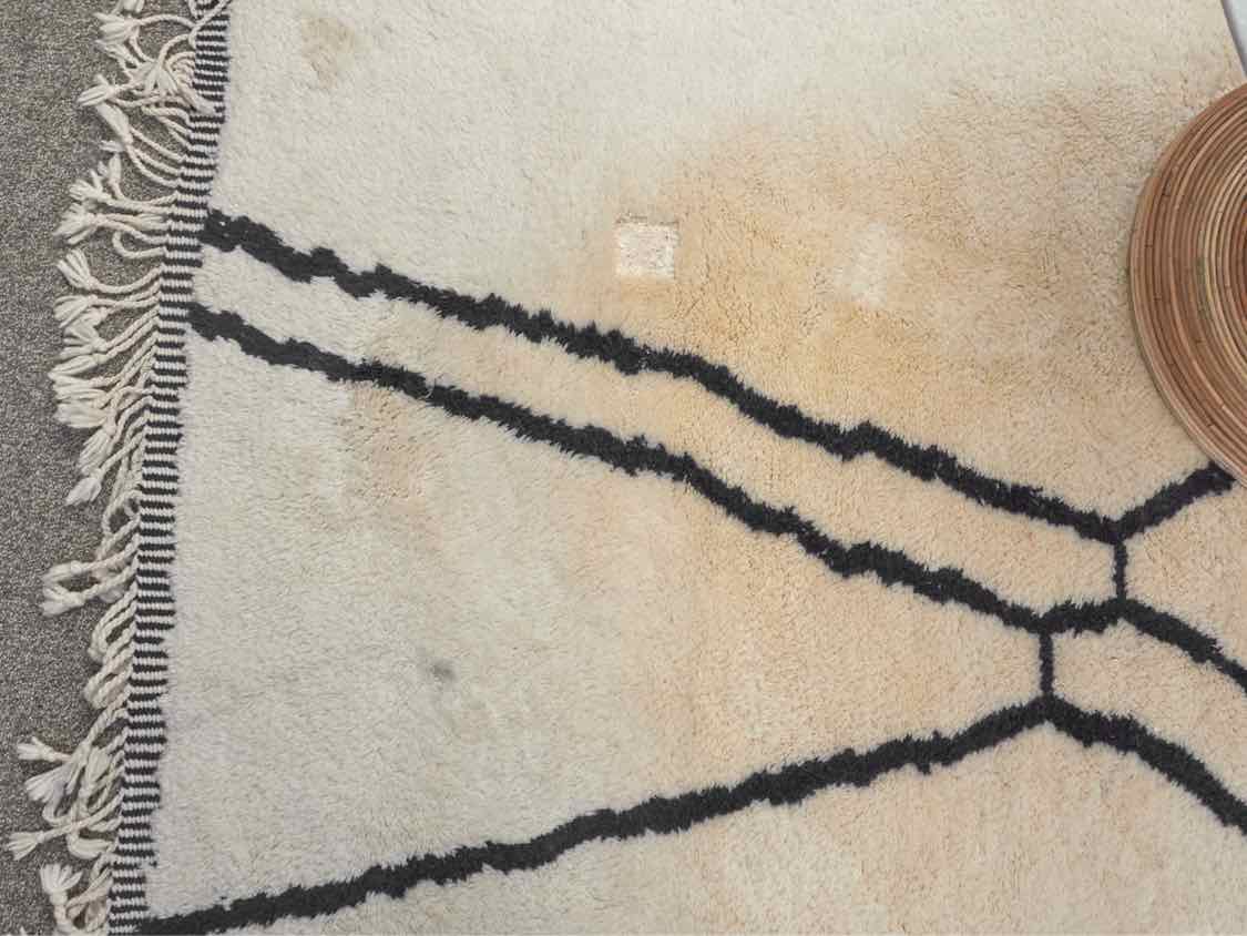 Ivory and Navy Shag Area Rug