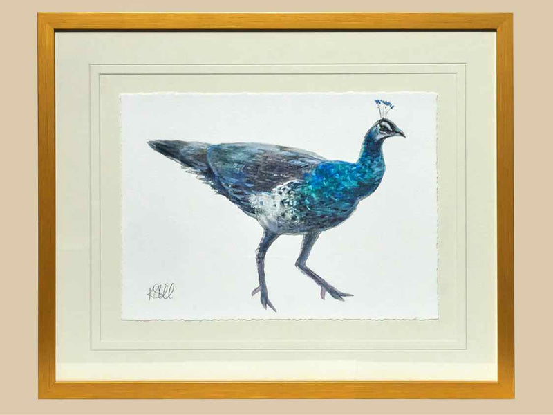 'Peacock 1' Giclee