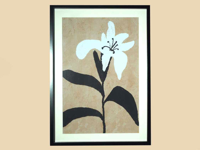 Flower Print In Black Frame Under Glass