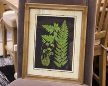 Matted Fern I Print in Wood Frame