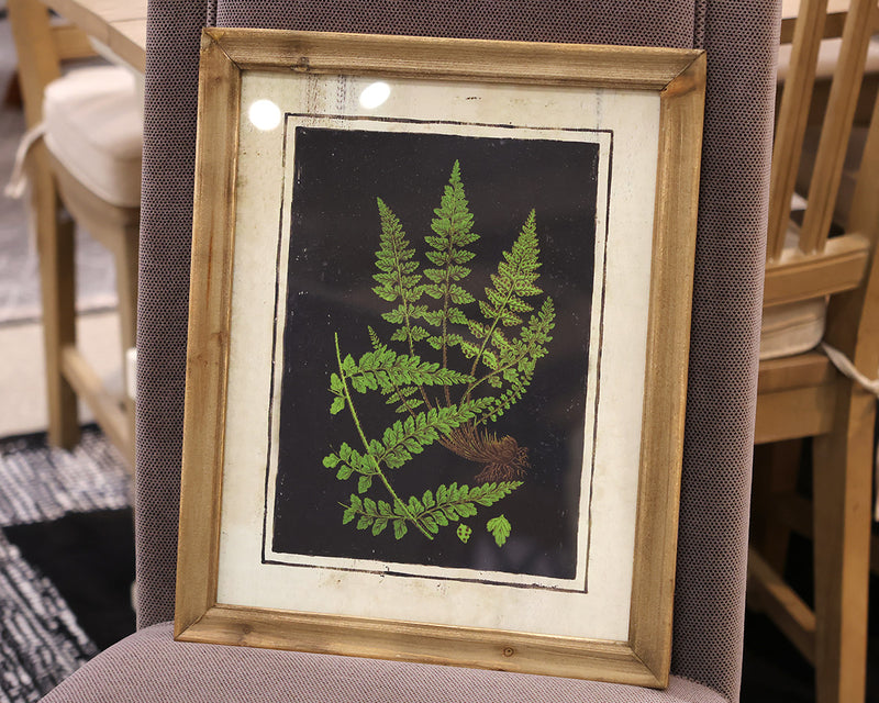 Matted Fern II Print in Wood Frame