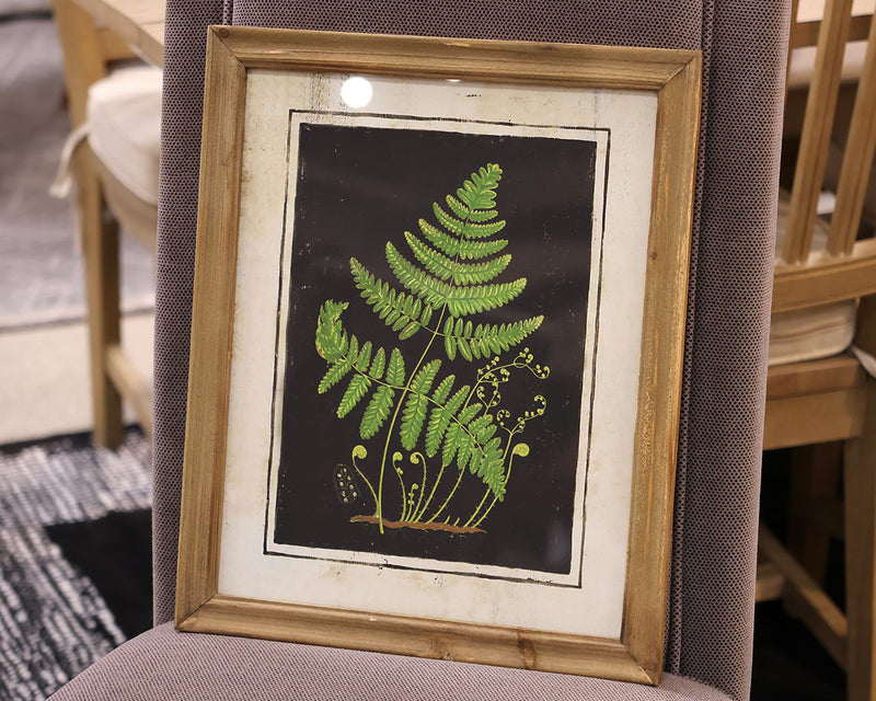 Matted Fern III Print in Wood Frame