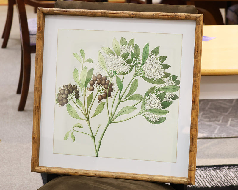 Flower Print III Under Glass in Rustic Bamboo Frame