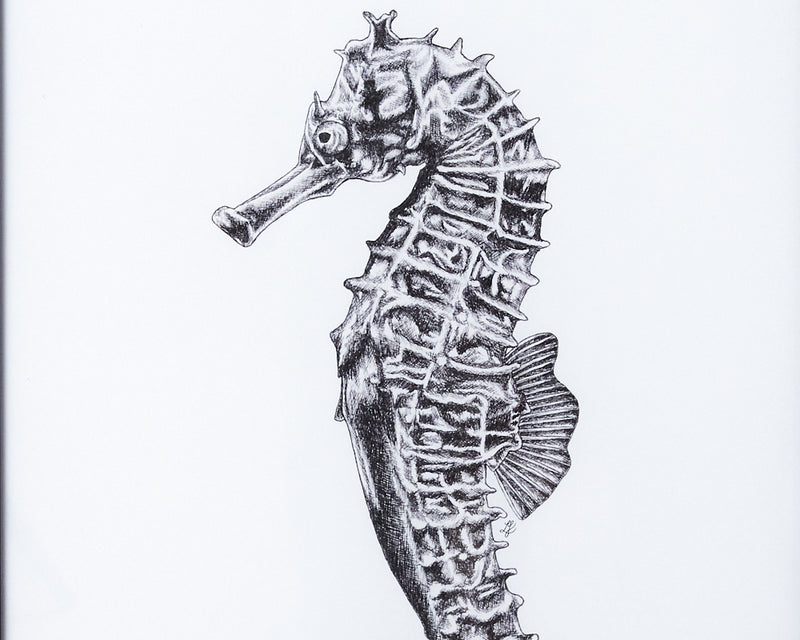 Under The Sea 'Seahorse' Framed Print