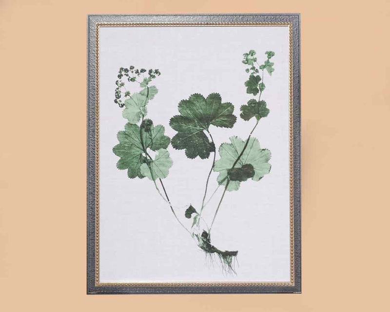 Forest Foliage IV Art Print In Black Frame With Silver Bead Trim