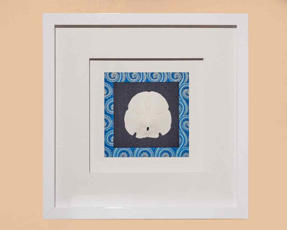 Sand Dollar III In White Shadow Box Frame & Triple Matt